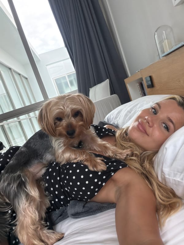 Lazy morning in bed with a Yorkshire Terrier in Thailand