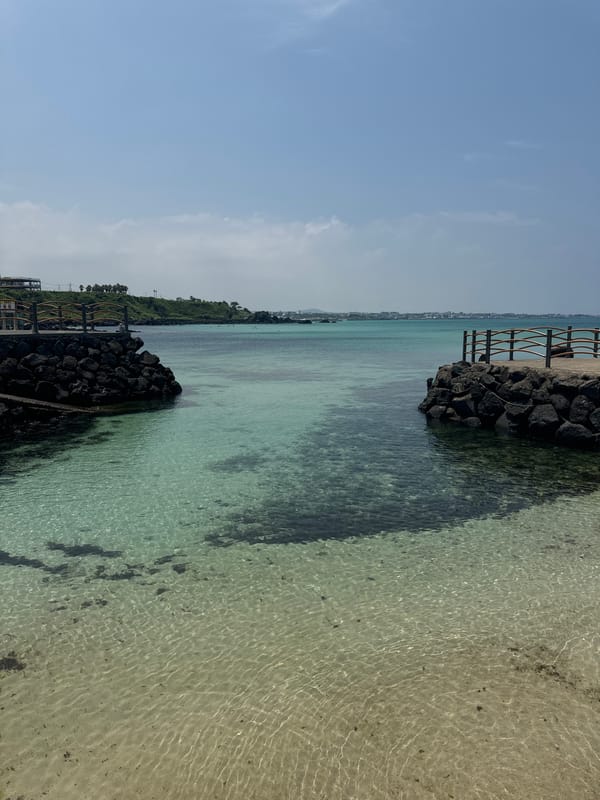 Sunny coastal day: rope swings, turquoise water, convertible cruise