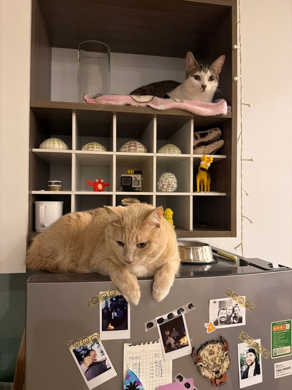Daily life moments captured in Vietnamese household over afternoon