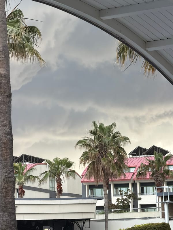 Outdoor restaurant scene documented in Manavgat, Turkey