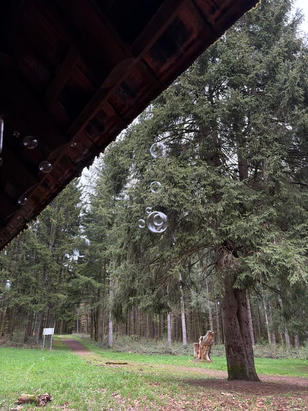 Fire and bubbles captured at La Broque forest location
