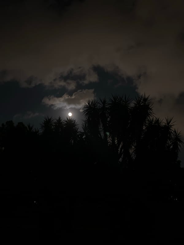 Full moon drifting through clouds over Palermo