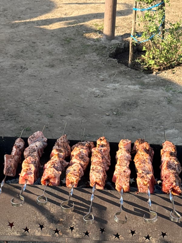 Outdoor grilling observed in Krasnokamsk, Russia