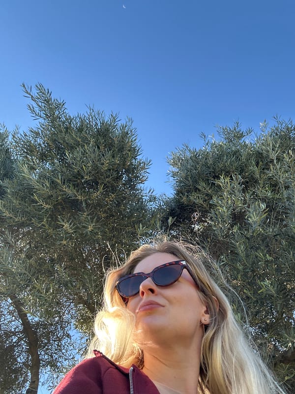 Sunny afternoon park activities documented across Raanana, Israel