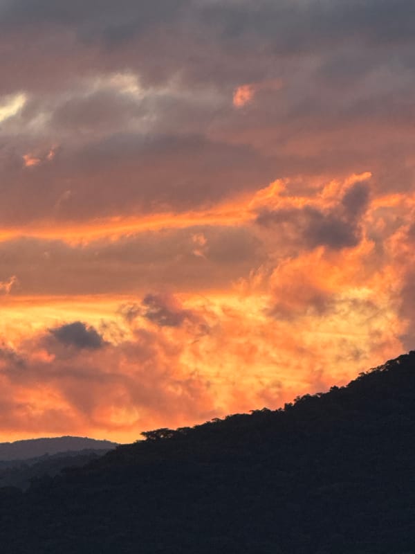 Sunset to cloud study: sky in four moods