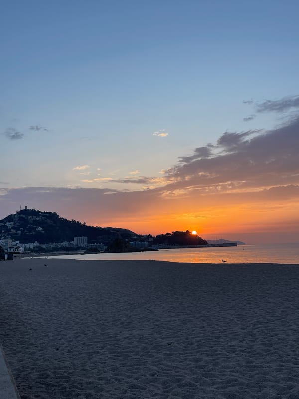 Sunset on a Blanes beach, two birds on the sand