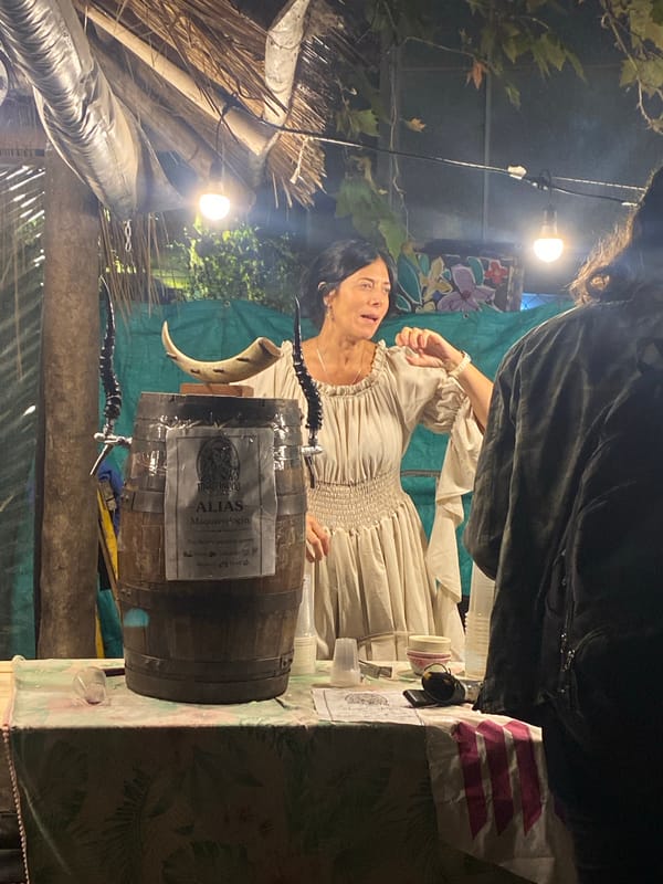 Medieval market festival draws costumed crowds in Buenos Aires