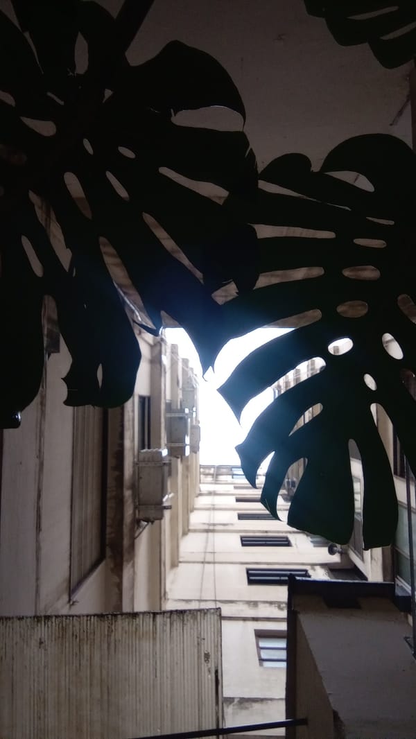 Buenos Aires resident documents ordinary urban moments during rainy afternoon