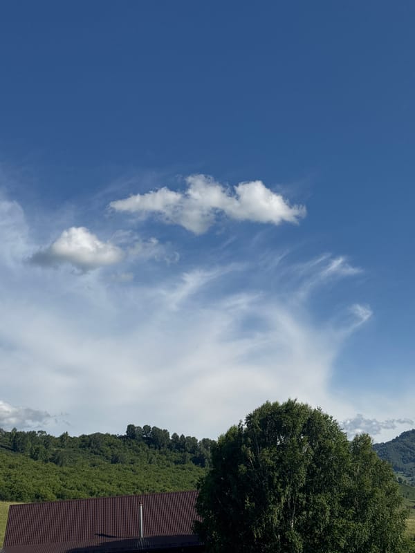 Cherry harvest and village views in Altai summer