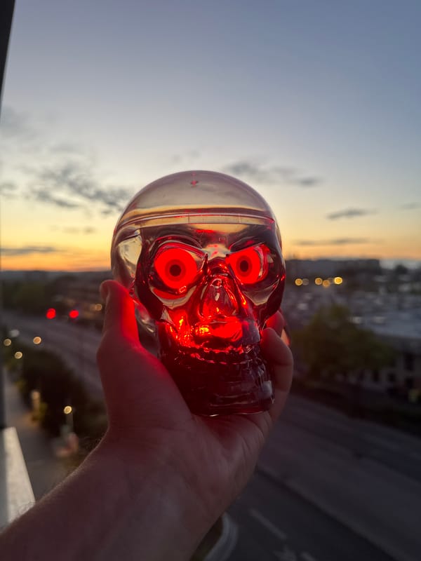City dusk shots and a glowing plastic skull