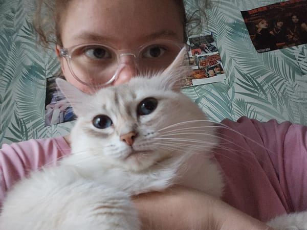 Cat and owner share quiet afternoon moments at home