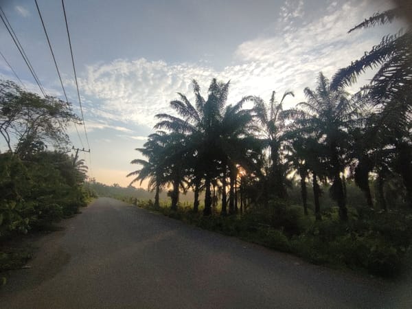 Road through tropical vegetation photographed in Pantonrayeuk Satu, Indonesia