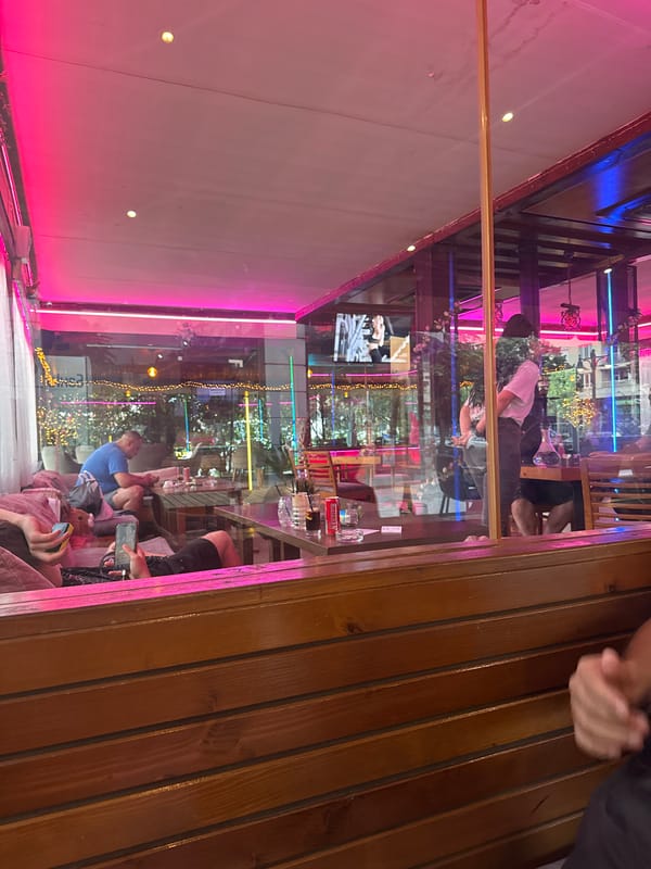 Evening cafe visits and pet portraits documented in Blagoevgrad