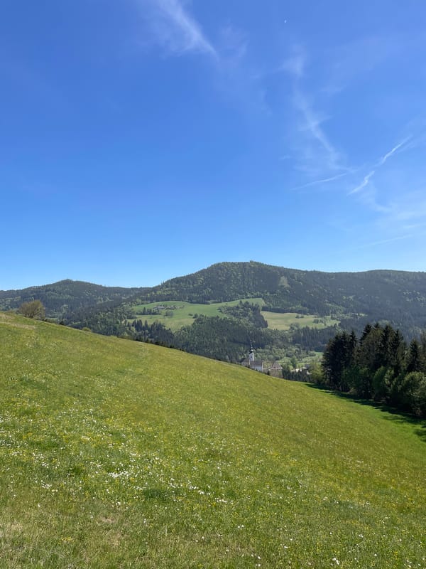 Spring wildflowers bloom in Austrian countryside field