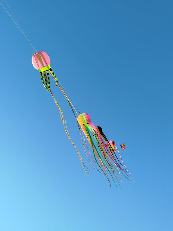 Jellyfish-shaped kites fly over Ho Chi Minh City park