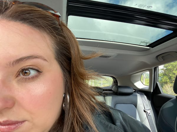 Woman photographed inside vehicle in Nova Petrópolis, Brazil