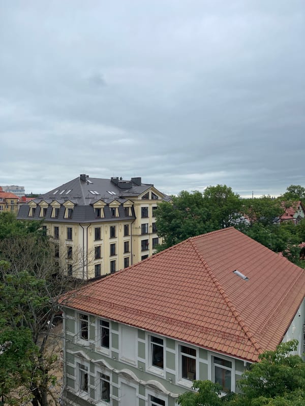 Overcast afternoon exploring Zelenogradsk's rooftops, deck, and waterfront trees