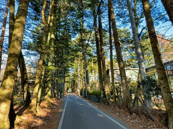 Woman poses on tree-lined street in Karuizawa, Japan