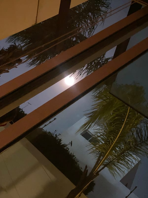 Quiet night documented through selfies, skies, roses in Mexico