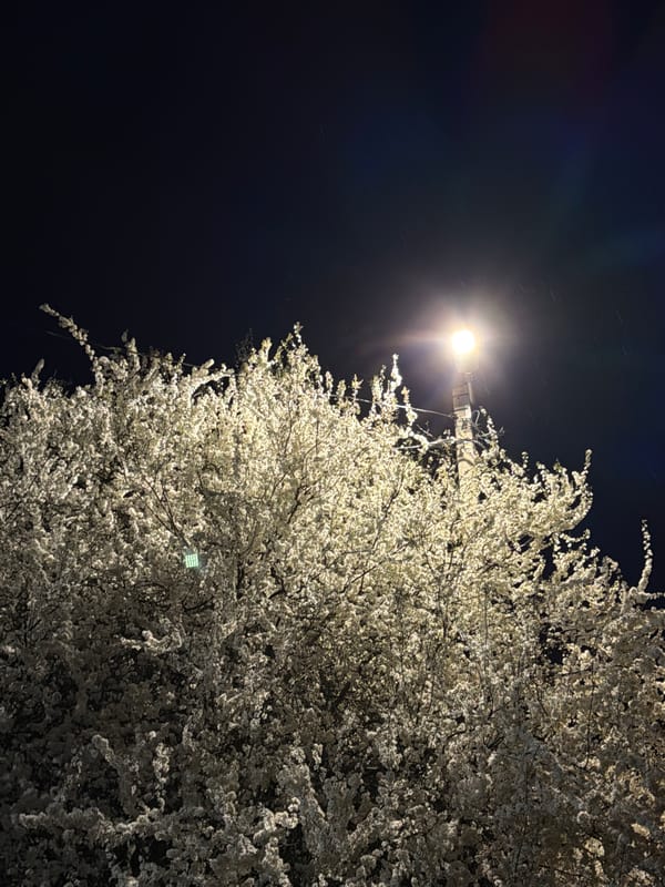 Spring evening scenes captured across Russian towns