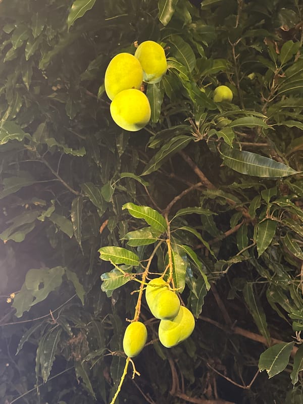 Nature observations captured at Bac Heritage Area Vietnam