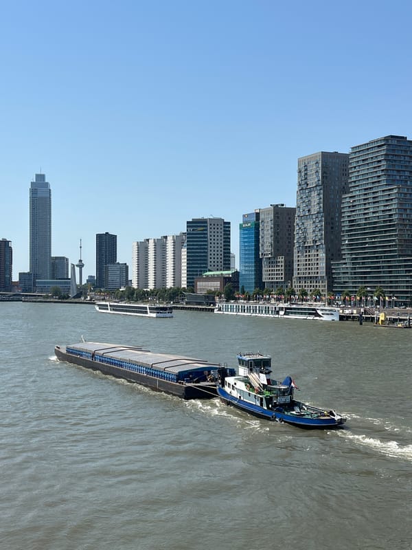Rotterdam waterfront and city streets on a clear June morning