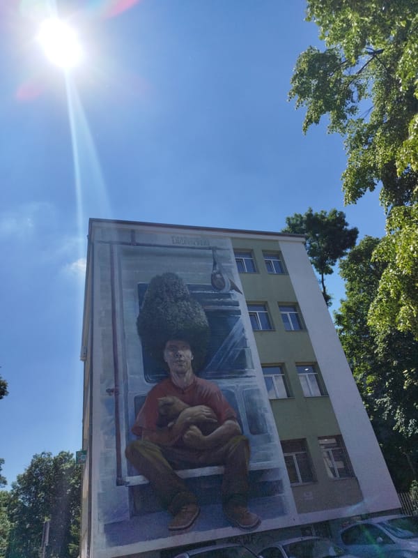 Street art murals documented across Sofia building exteriors