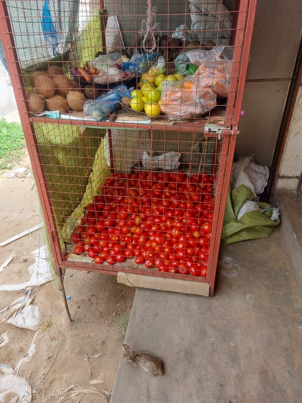 Daily life documented across Dar es-Salaam neighborhoods and markets