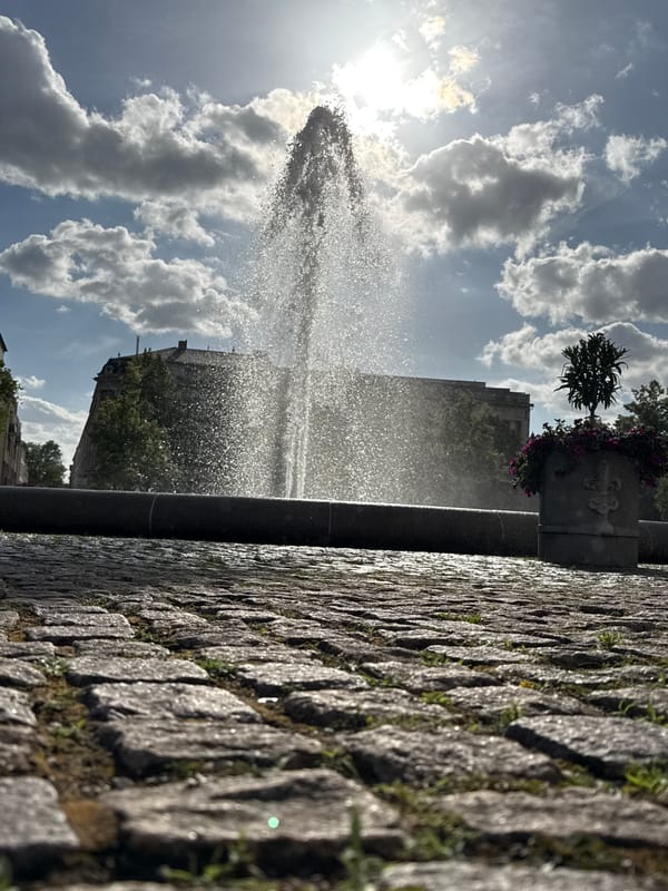 Wet cobblestones reflect sunlight near Potsdam fountain