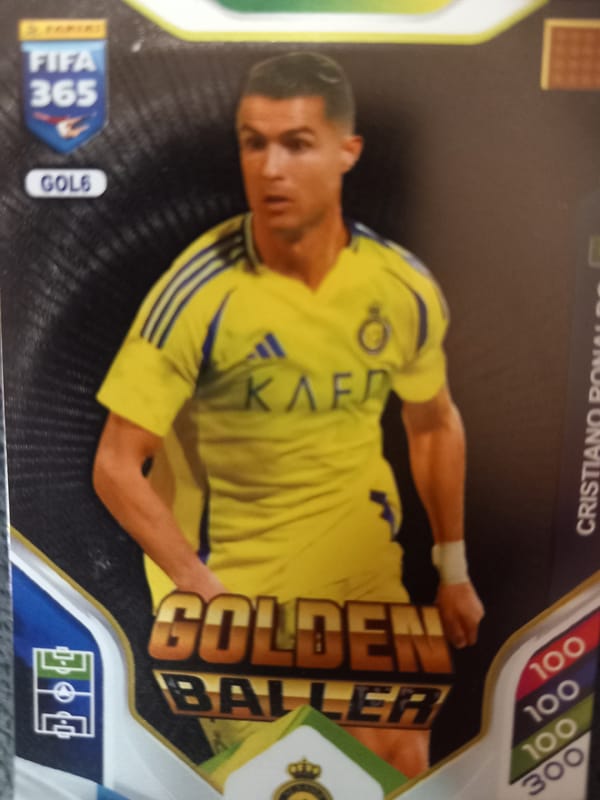Soccer trading card collection with a few small collectibles mixed in