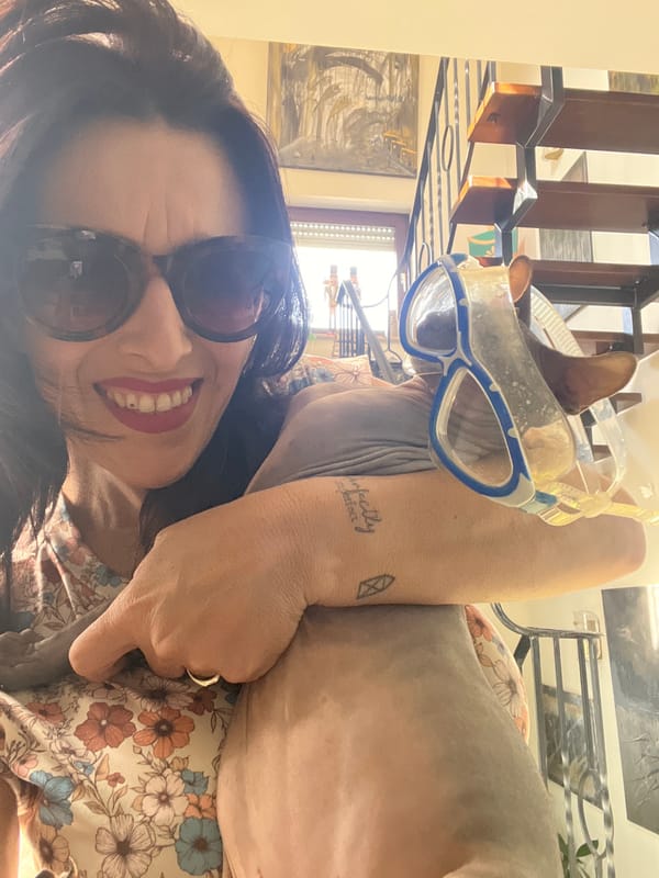 Quiet domestic moments documented in Konz, Germany Thursday morning