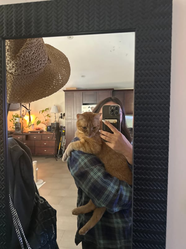 Person takes mirror selfie while holding orange cat