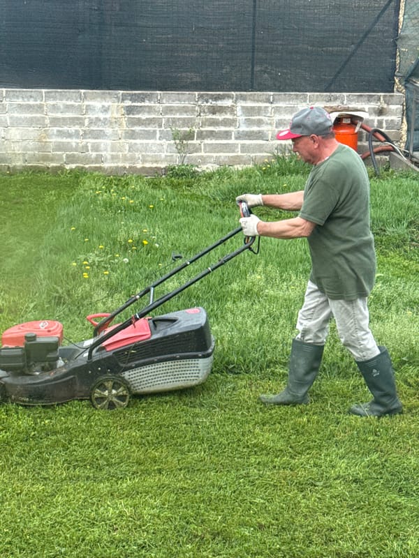 Routine yard work and office tasks documented in Aprilia