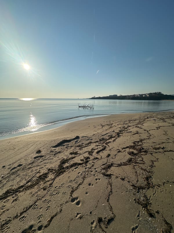 Early morning beach scene documented in Kiten, Bulgaria
