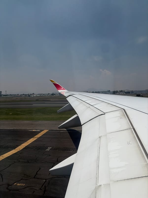 Passenger captures aircraft wing during landing approach procedures