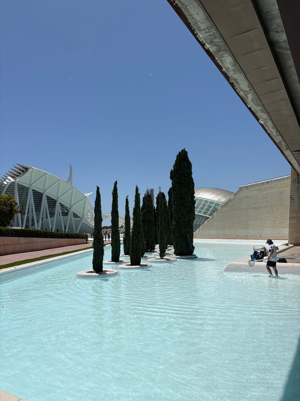 Exploring the City of Arts and Sciences, Valencia