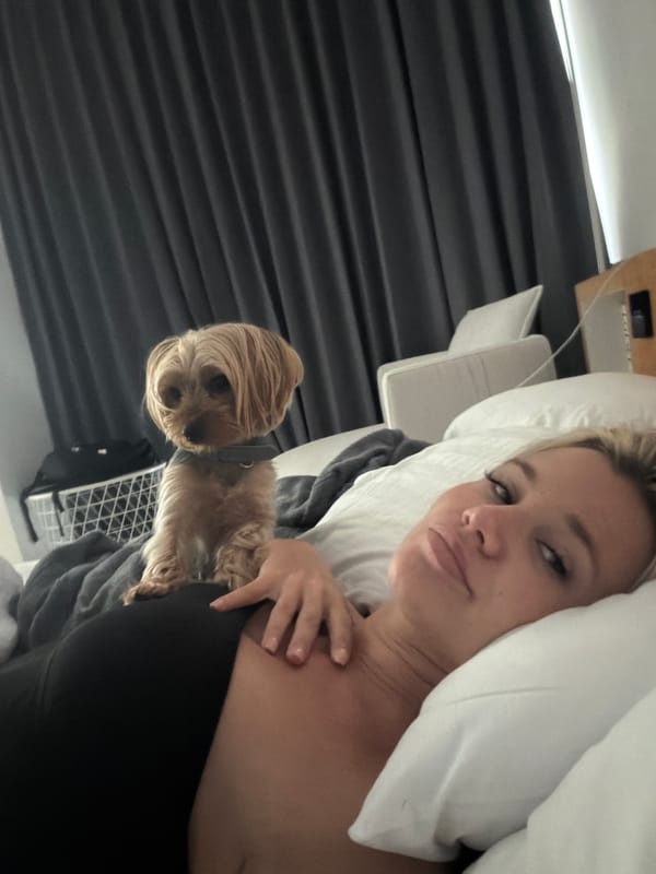 Morning bed time with a Yorkshire Terrier in Thailand