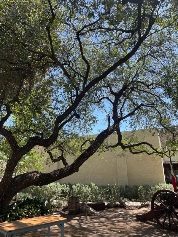 Outdoor display setup observed in downtown San Antonio