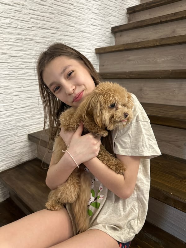 Girl plays with brown poodle indoors in Russian village