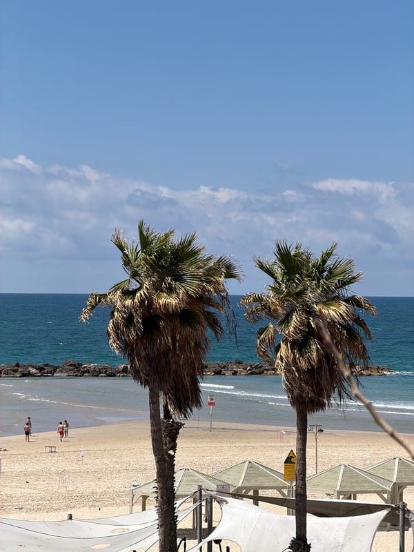 Tel Aviv beach scene captured with palms and coastline