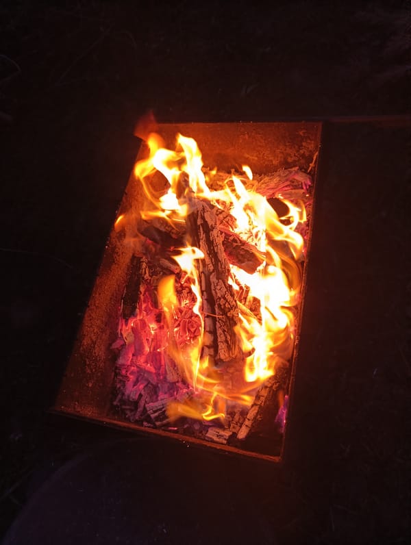 Evening backyard barbecue gathering documented in Botovo, Russia