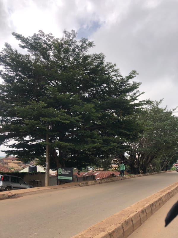 Jos street life: roads, rickshaws, shops, and overcast skies
