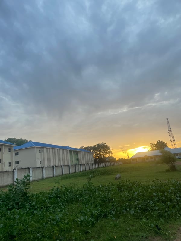 Late afternoon wander around a Jalingo compound and its surroundings