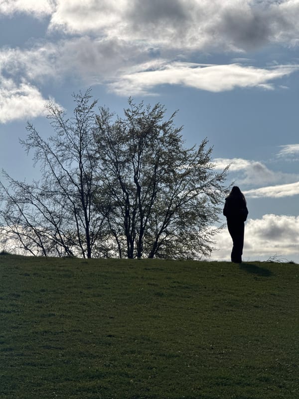 Afternoon visitors explore classical monuments in Dacorum park