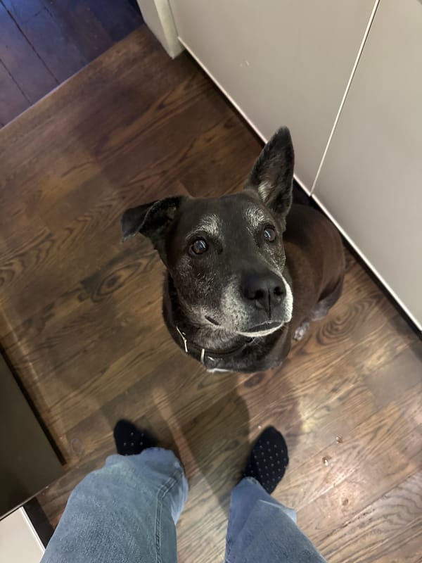 Anonymous witness captures ordinary NYC evening moments across multiple locations