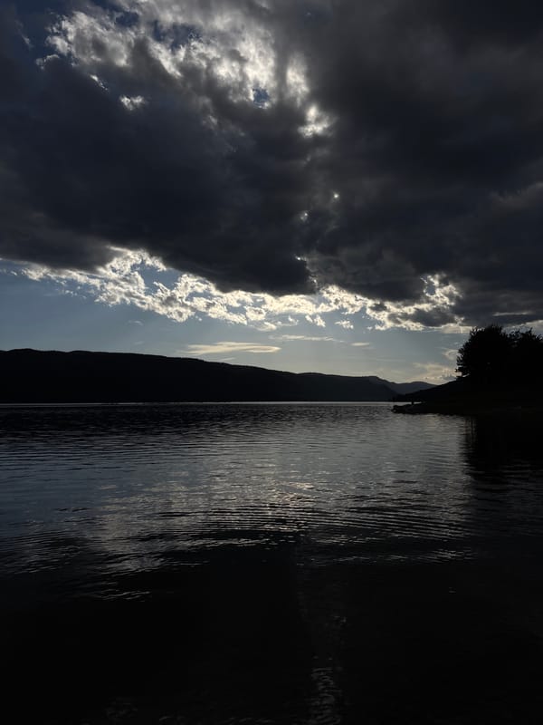 Witness documents dramatic lakeside clouds and vegetation over seven minutes