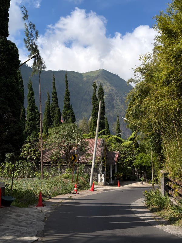 Mountain roads and forest views from a quiet Indonesian village