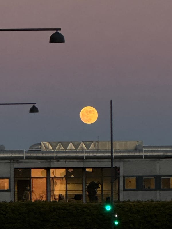Sunlit architectural surface creates shadow patterns in Copenhagen