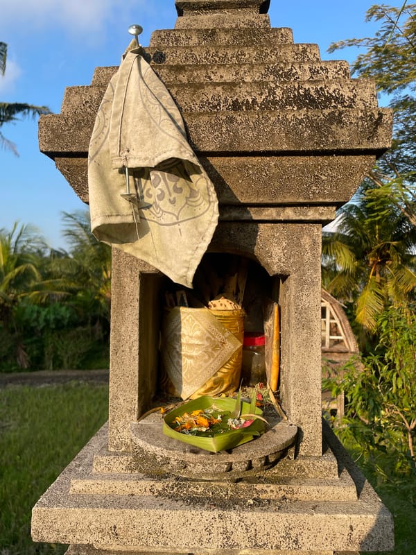 Morning documentation of traditional Balinese architecture in Ubud