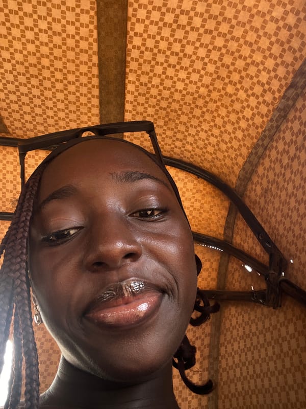 Auto-rickshaw journey between Galadimawa Village and Abuja with travel selfies